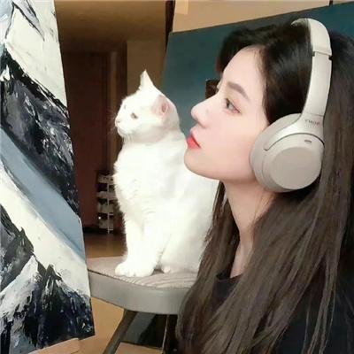殉道者杀手