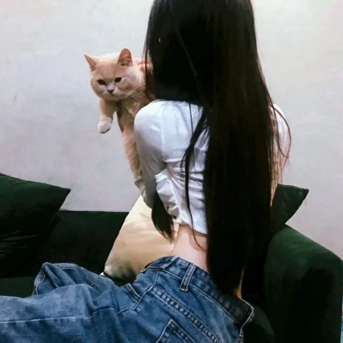 暗宅之谜